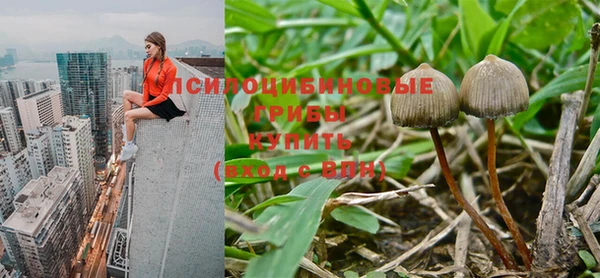 спиды Мегион