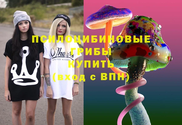 мдпв Медвежьегорск