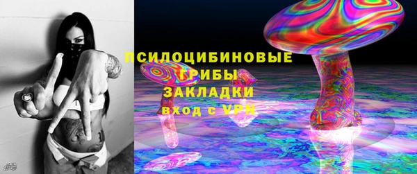 мдпв Медвежьегорск