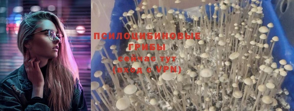 спиды Мегион